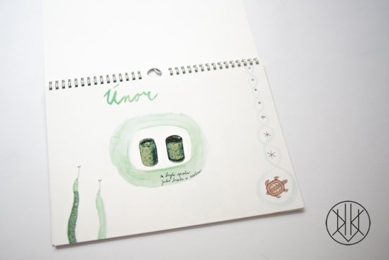 calendar - Anička and the plane