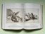Goya: The Complete Prints