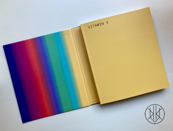 Vitamin V: Video and the Moving Image in Contemporary Art