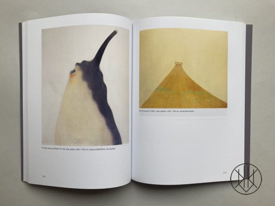 Růst a světlo tvarů: Aspekty díla Miloše Ševčíka