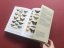 Cabinet of Natural Curiosities