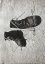 Josef Koudelka: Diaries