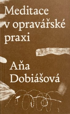 Meditace v opravářské praxi