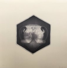 Petr Nikl: The Bee 9