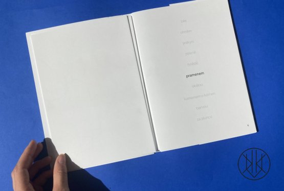 Miloš Šejn: Deset doteků, přednostní výtisk s originální kresbou