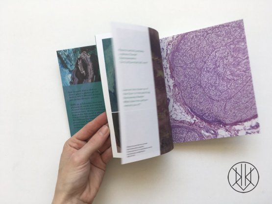Filla - Pocket Paintings