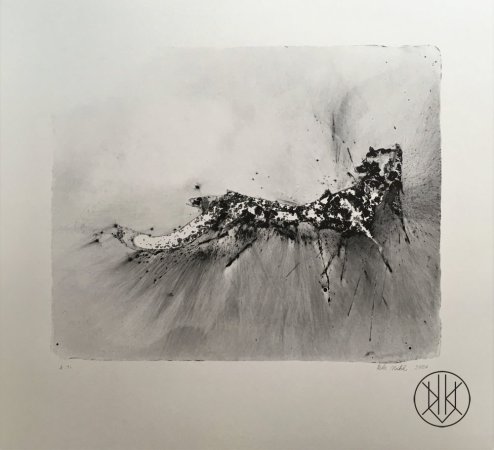 Petr Nikl: Leopard
