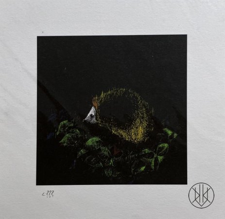 Ilya Kreines: hdghg