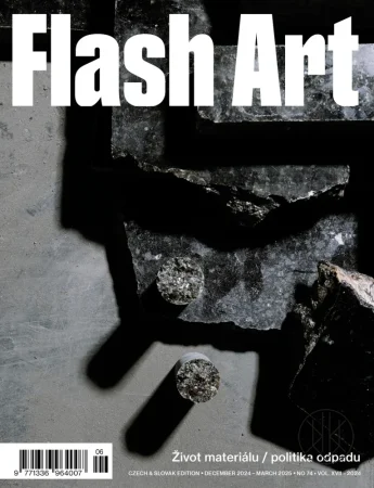 Flash Art #74