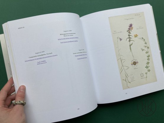 Hilma af Klint: What Stands Behind the Flowers