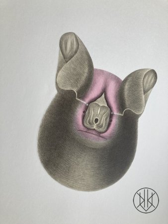 Petr Nikl: Tlustý netopýr