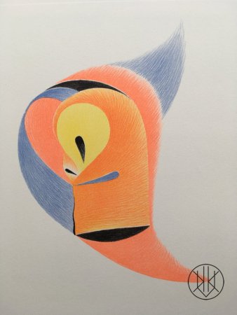 Petr Nikl: Papoušek se žlutým okem