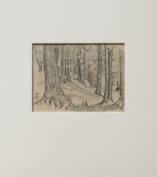 Jan Autengruber: A forrest