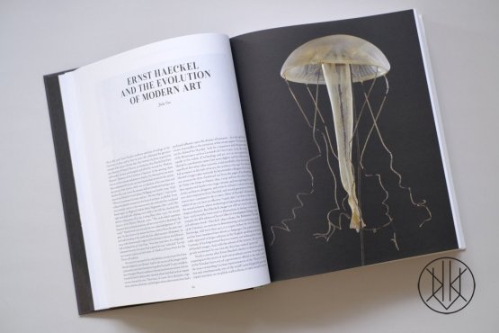 The Art and Science of Ernst Haeckel