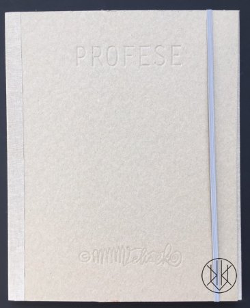Martin Velíšek: Profese