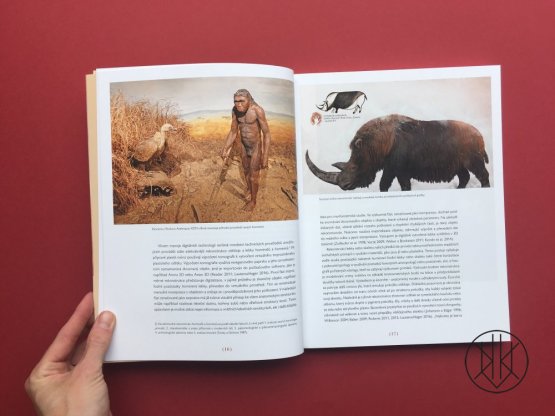 Výtvarná rekonstrukce pravěku a evoluce člověka