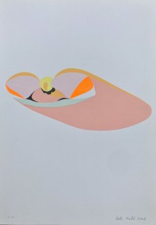 Petr Nikl: Poletucha