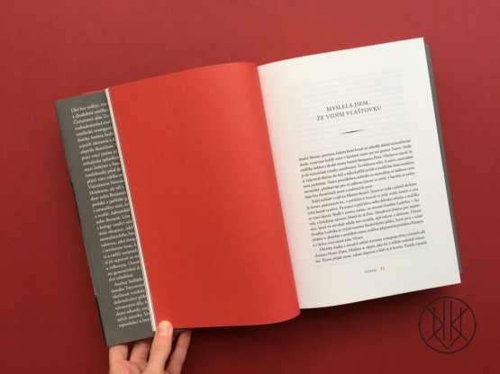 Toyen: První dáma surrealismu