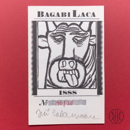 Jiří Šalamoun: Bagabi Laca