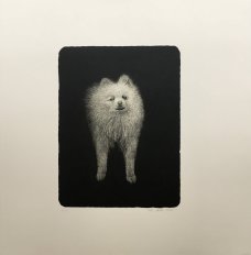 Petr Nikl: The Dog
