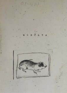 Guineapigs