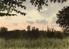 Alžběta Skálová: Horizont