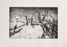 Lucie Raškovová: Inishmore