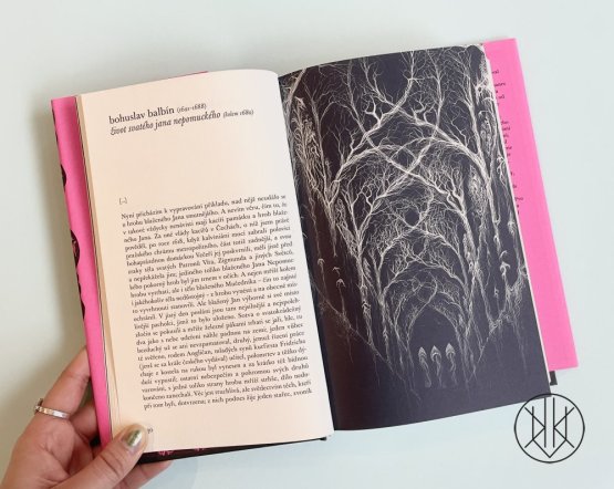 Příšerná hostina